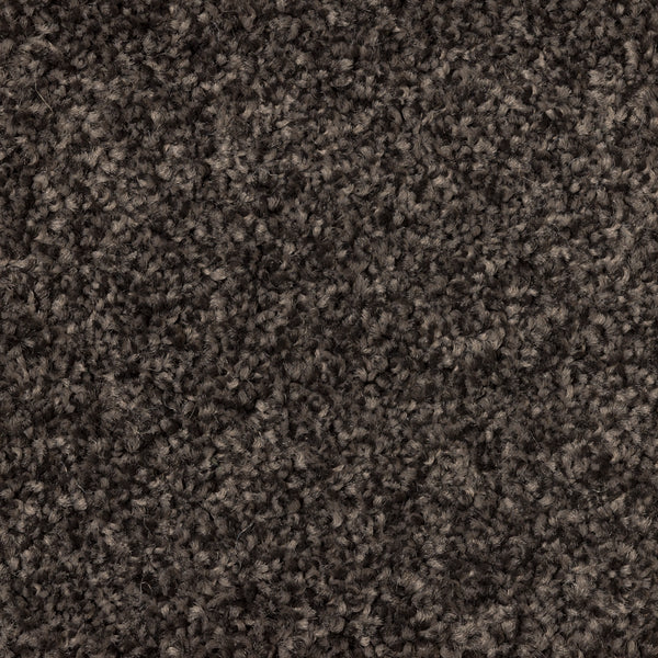 Tulle Cove A4 Samples