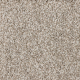 Starlight A4 Samples