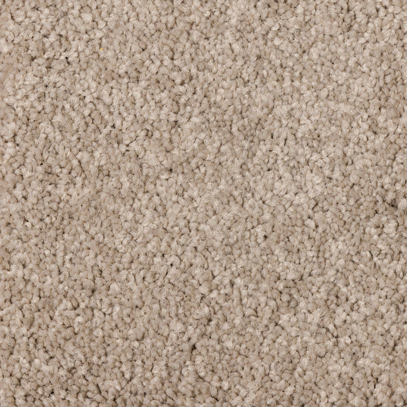 Starlight A4 Samples