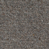 Ribon A4 Samples