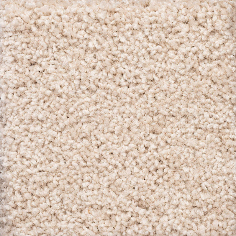 Charmeuse A4 Samples