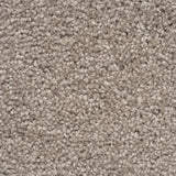 Moods of Monet II A4 Samples