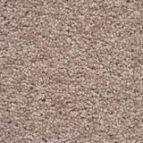 Moods of Monet II A4 Samples